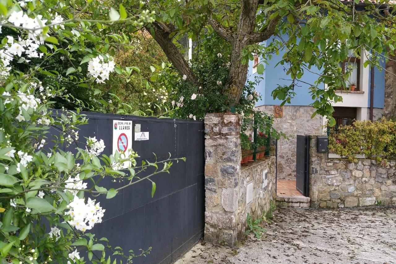 Rales  Casa De Aldea El Toralゲストハウス エクステリア 写真